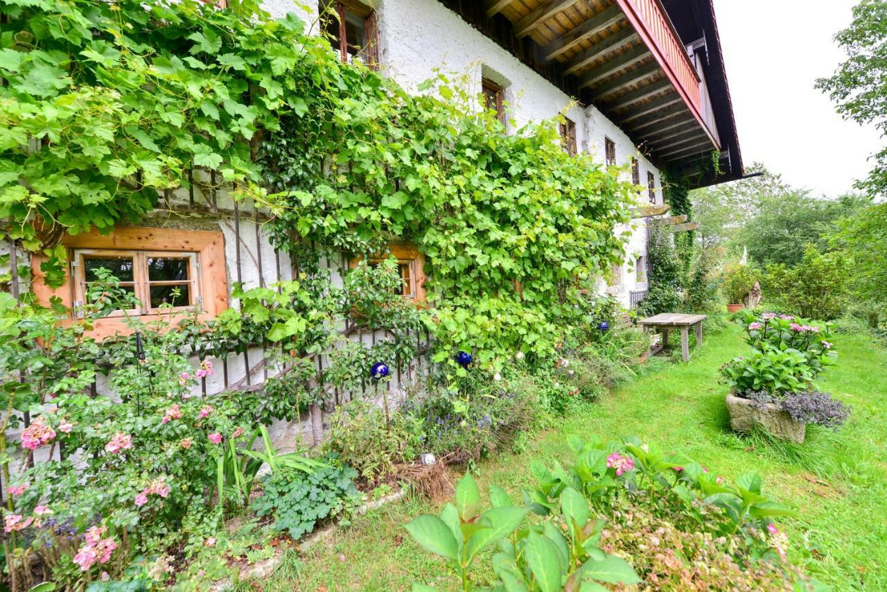 Hofatelier Menacher Neureichenau Exterior foto